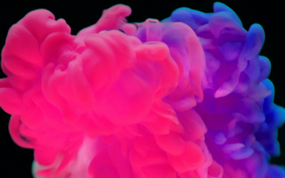 Portrait of a Business Development Manager