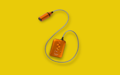 Product and Range Development: the base for growth