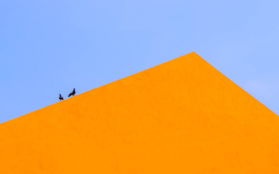 How I discovered Business Development from my failure