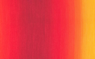 Business Development and Sales: an effective model