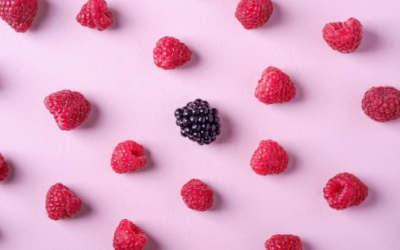 Business Development for Startups & Tech Companies