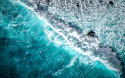 Leverage passion in business development