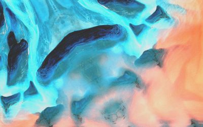 5 Differences between education and training for business development