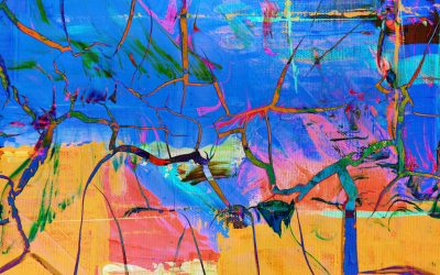 What is The BD School?