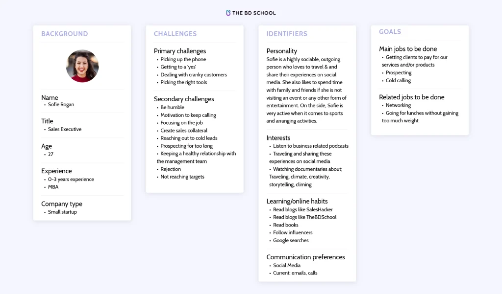 the business development school - buyer persona template