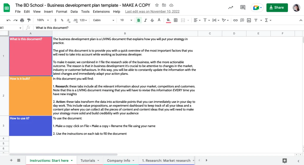 the business development school - the business development plan template