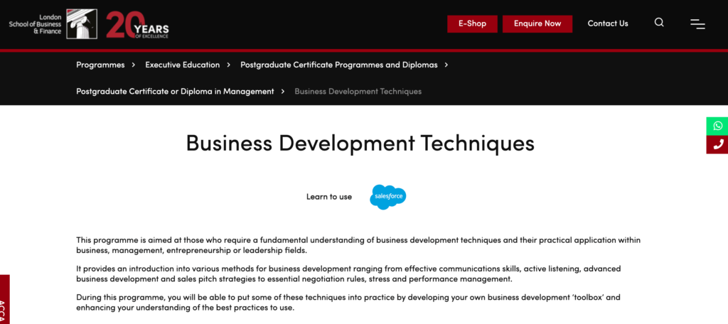 Business Development Techniques